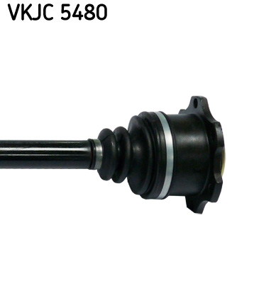 Planetara SKF VKJC 5480