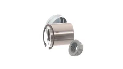 Set rulment roata SKF VKBA 6698