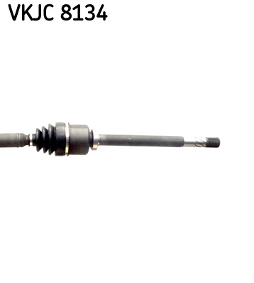 Planetara SKF VKJC 8134