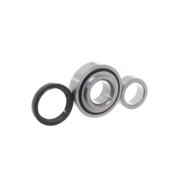 Set rulment roata SKF VKBA 6920