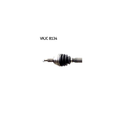 Planetara SKF VKJC 8134
