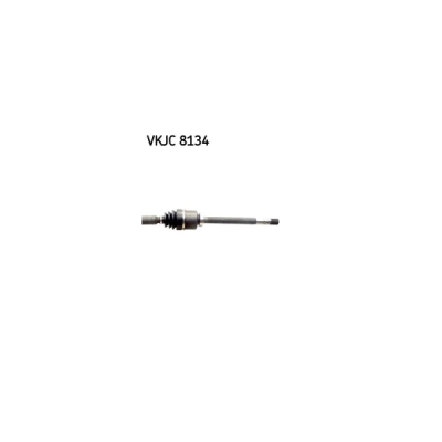 Planetara SKF VKJC 8134