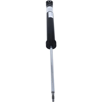 Amortizor SACHS 313 252