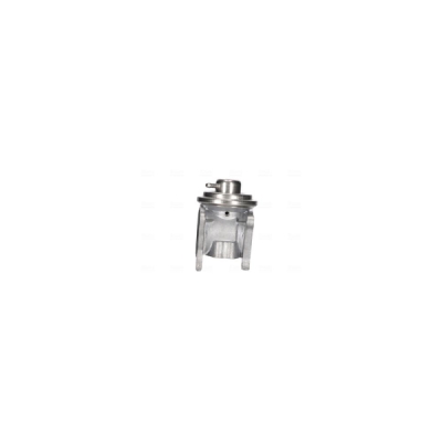 Supapa EGR NISSENS 98173