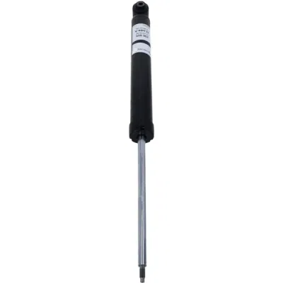 Amortizor SACHS 290 965