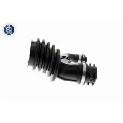 Palnie, filtru de aer VAICO V25-0793
