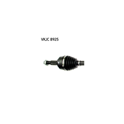 Planetara SKF VKJC 8925
