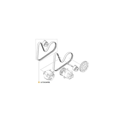 Set curea transmisie cu caneluri ORIGINAL RENAULT 117202495R