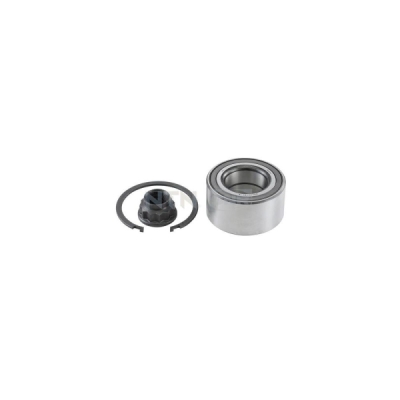 Set rulment roata SNR R169.75