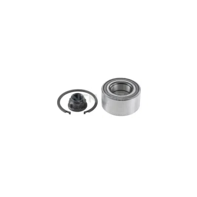 Set rulment roata SNR R169.75