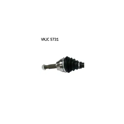 Planetara SKF VKJC 5731