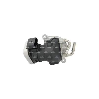 Supapa EGR NRF 48735