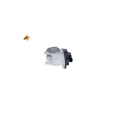 Supapa EGR NRF 48389