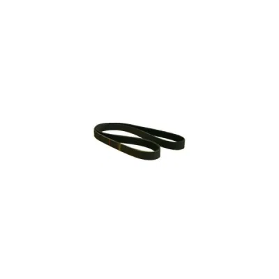 Curea transmisie cu caneluri ORIGINAL RENAULT 117205191R