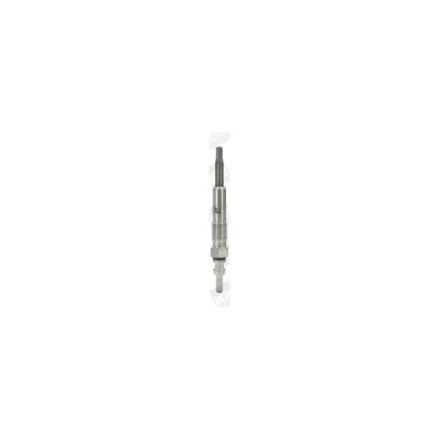 Bujie incandescenta BorgWarner (BERU) GN018
