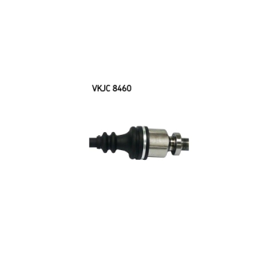 Planetara SKF VKJC 8460
