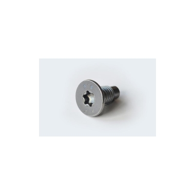 Surub, disc frana ORIGINAL RENAULT 7703004176