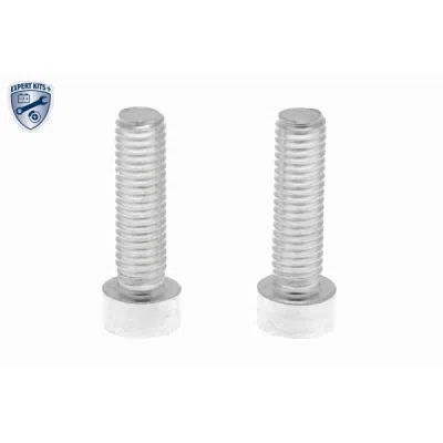 Set Piese, schimb ulei cuplaj lam. (tracț. integr.) VAICO V25-1300