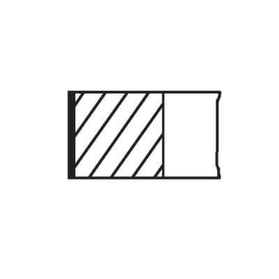 Set segmenti piston MAHLE 033 16 N0