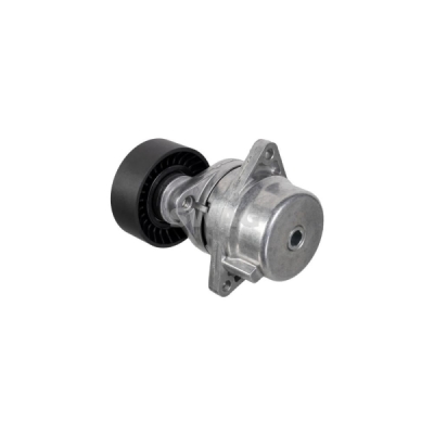 Intinzator curea, curea distributie SWAG 10 03 0020