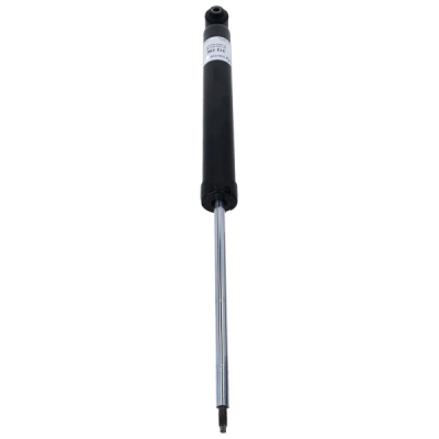 Amortizor SACHS 313 156