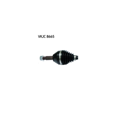 Planetara SKF VKJC 8665