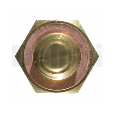 Senzor, temperatura lichid de racire DELPHI TS10250