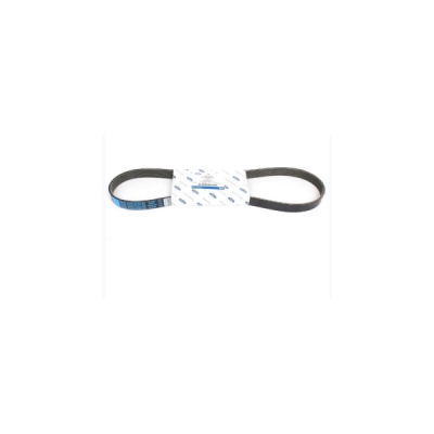 Curea transmisie cu caneluri ORIGINAL FORD 1701514