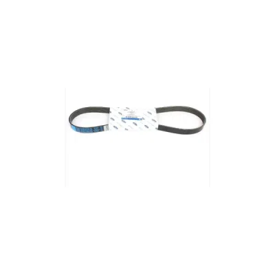 Curea transmisie cu caneluri ORIGINAL FORD 1701514