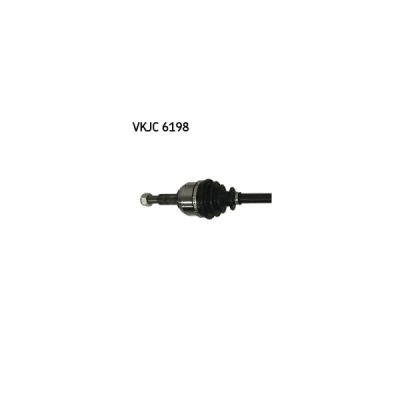 Planetara SKF VKJC 6198