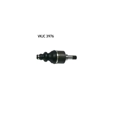 Planetara SKF VKJC 3976