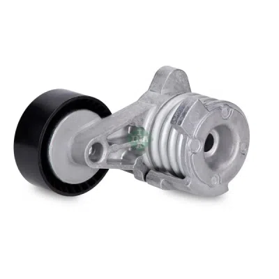 Intinzator curea, curea distributie INA 534 0252 10