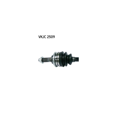 Planetara SKF VKJC 2509