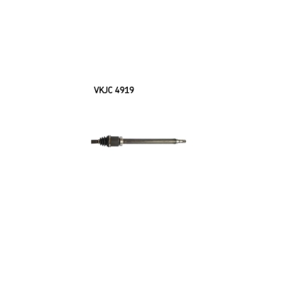Planetara SKF VKJC 4919