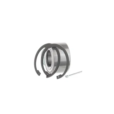 Set rulment roata SKF VKBA 3600