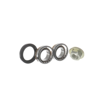Set rulment roata SKF VKBA 3666