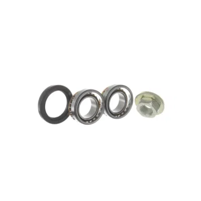 Set rulment roata SKF VKBA 3666