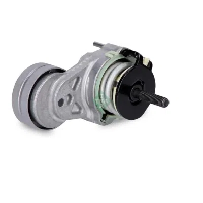 Intinzator curea, curea distributie INA 534 0147 10