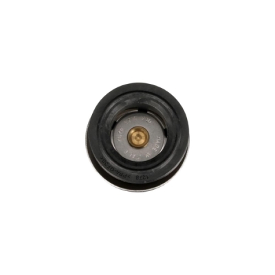 Termostat, lichid racire GATES TH64187G1