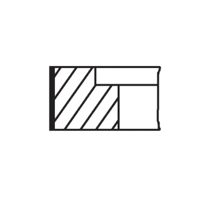 Set segmenti piston MAHLE 681 02 N0