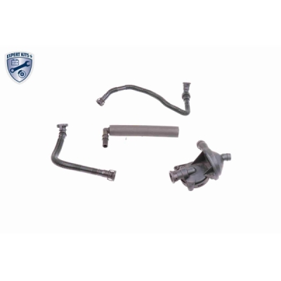 Set reparatie, aerisire baie ulei VAICO V20-1873