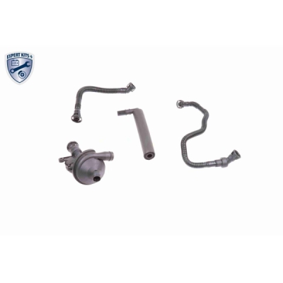 Set reparatie, aerisire baie ulei VAICO V20-1873