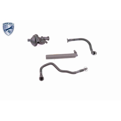 Set reparatie, aerisire baie ulei VAICO V20-1873