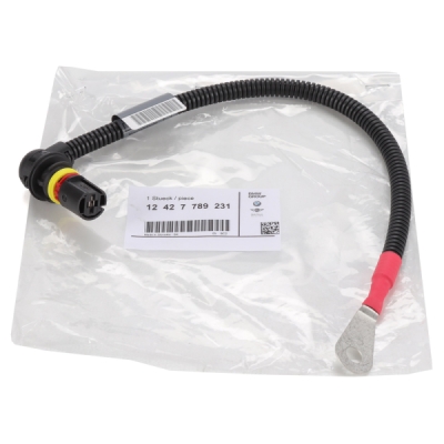 Set reparat cabluri, unitate comandă (durată de încălzire) ORIGINAL BMW 12427789231