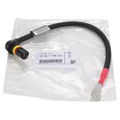 Set reparat cabluri, unitate comandă (durată de încălzire) ORIGINAL BMW 12427789231
