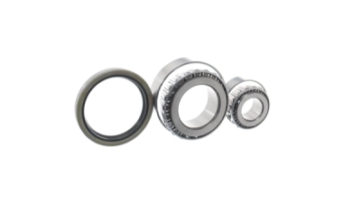 Set rulment roata SKF VKBA 5025