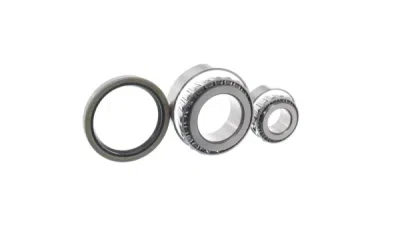 Set rulment roata SKF VKBA 5025