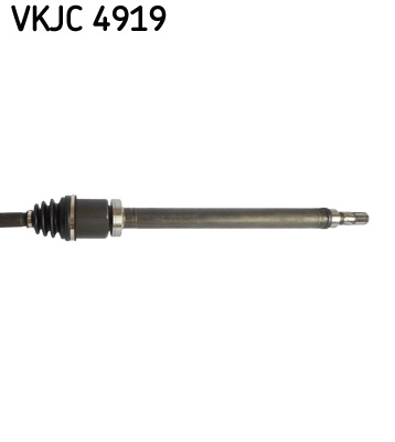 Planetara SKF VKJC 4919