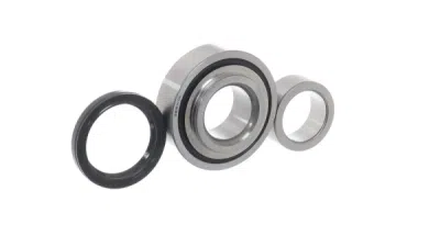 Set rulment roata SKF VKBA 6920