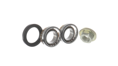 Set rulment roata SKF VKBA 3666